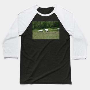 Wild Horses Baseball T-Shirt